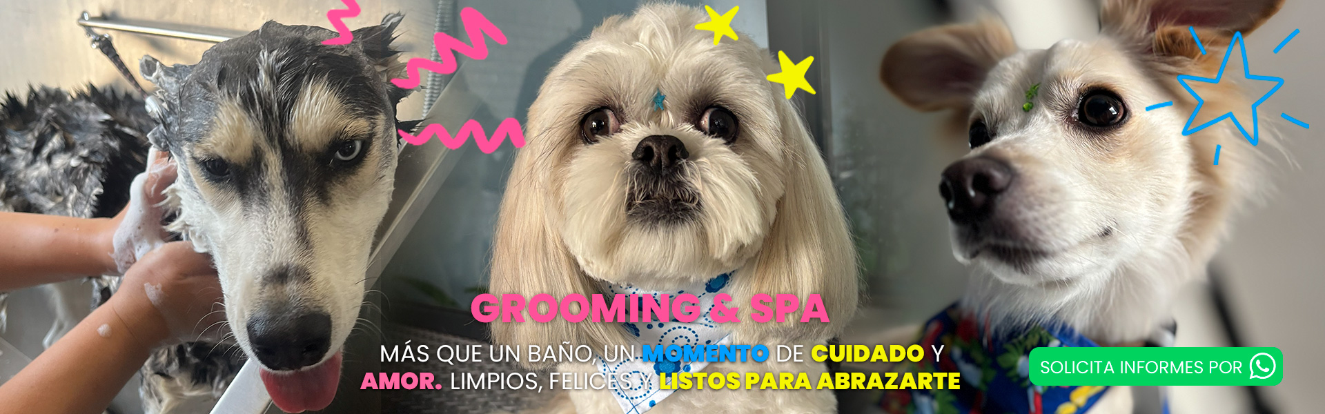 Slide 1